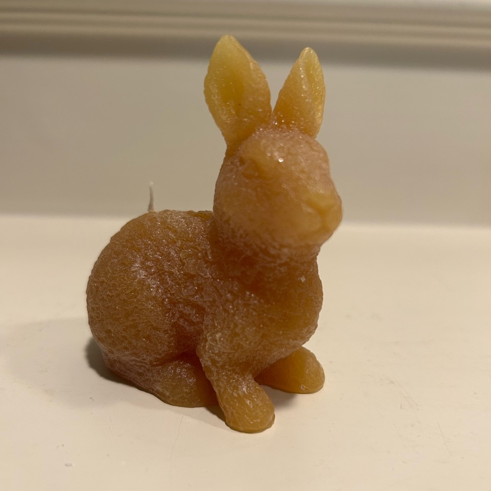 Illuminations Honey Bunny Candle Set - Picture 6 of 13
